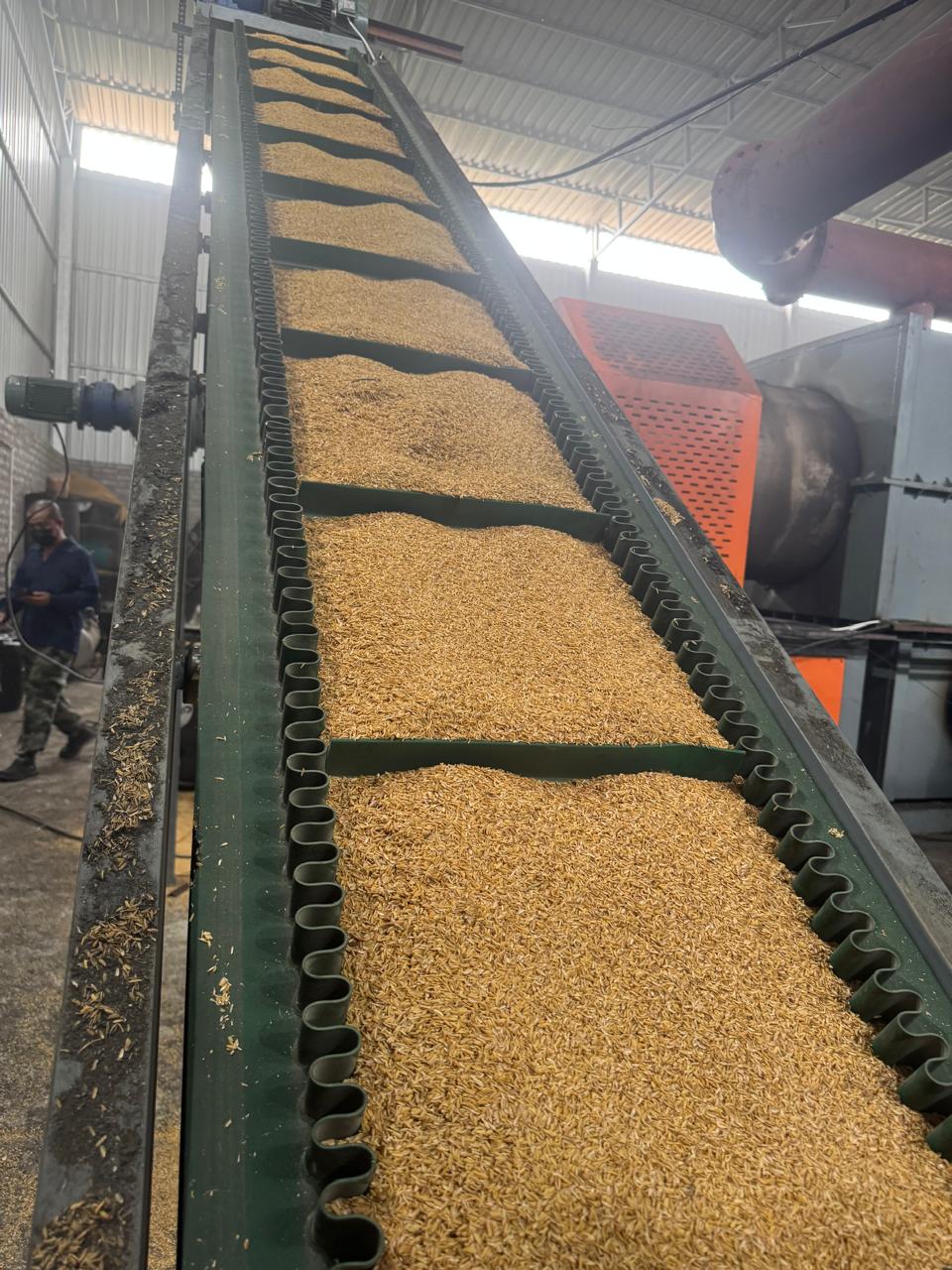 Biomass conveyor at pyrolysis facility